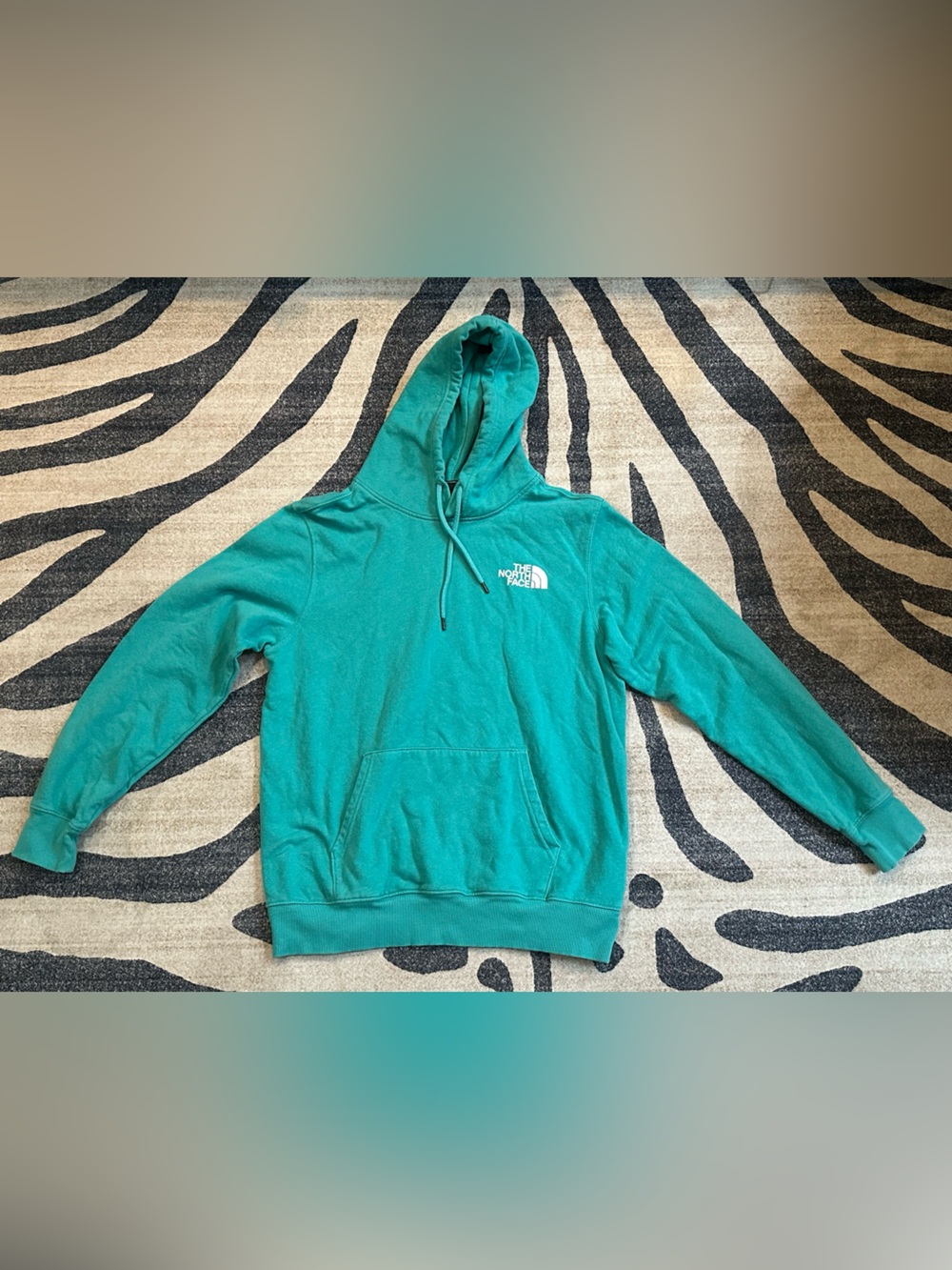 The North Face Teal Pullover Hoodie